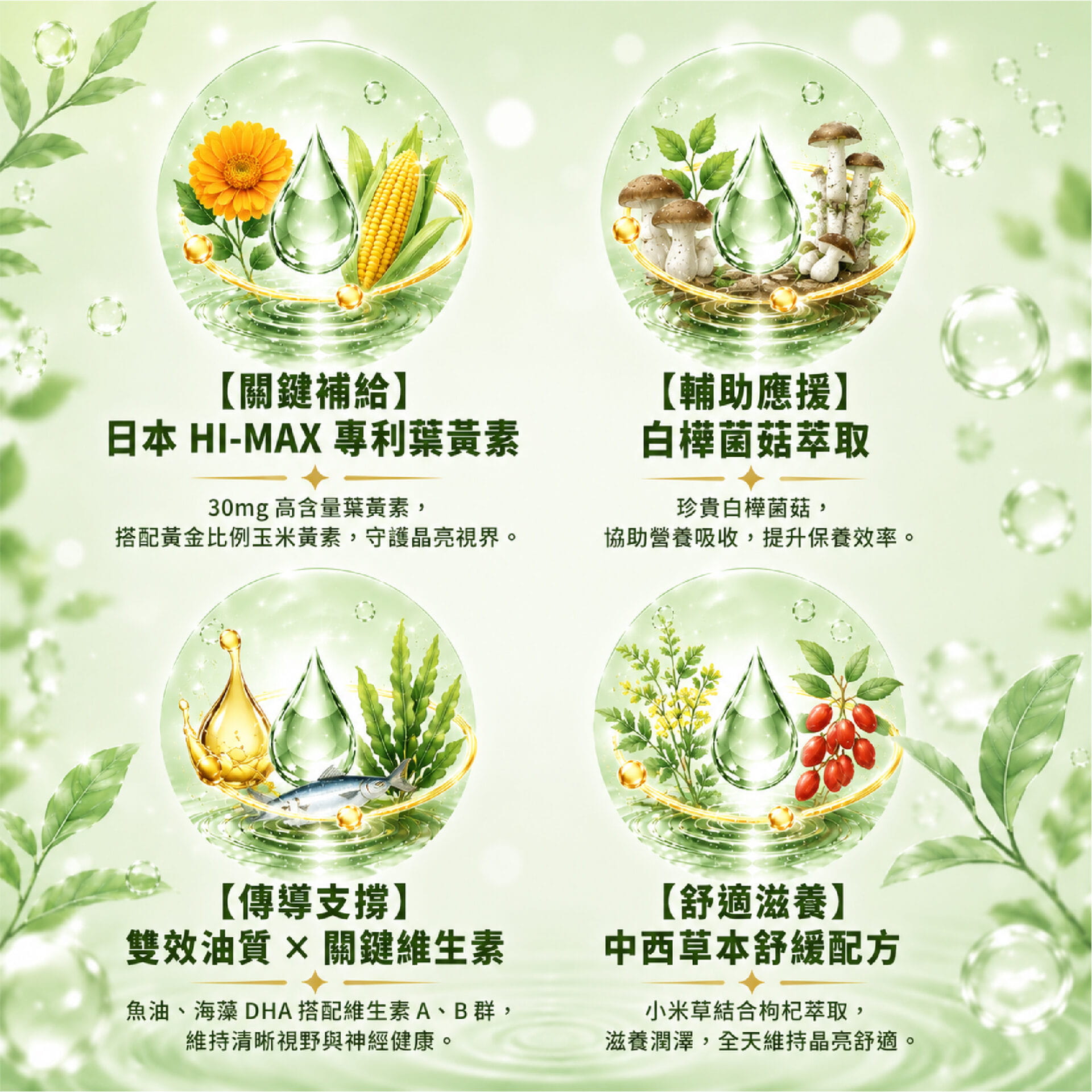 健康密碼 (晶亮)葉黃素 60粒 02.jpg 的副本