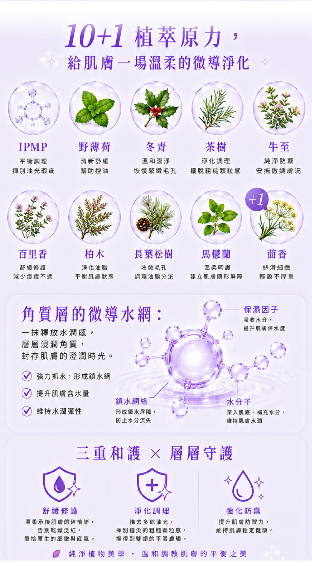 淨痘調理精華