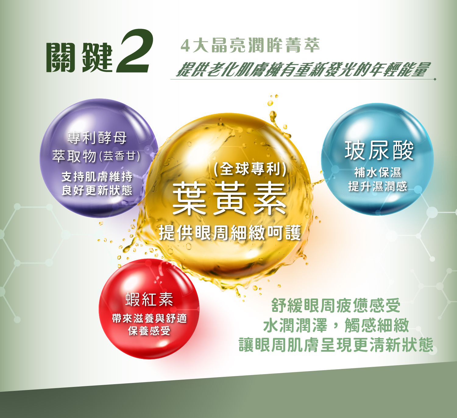 全能葉黃素眼霜 OK3