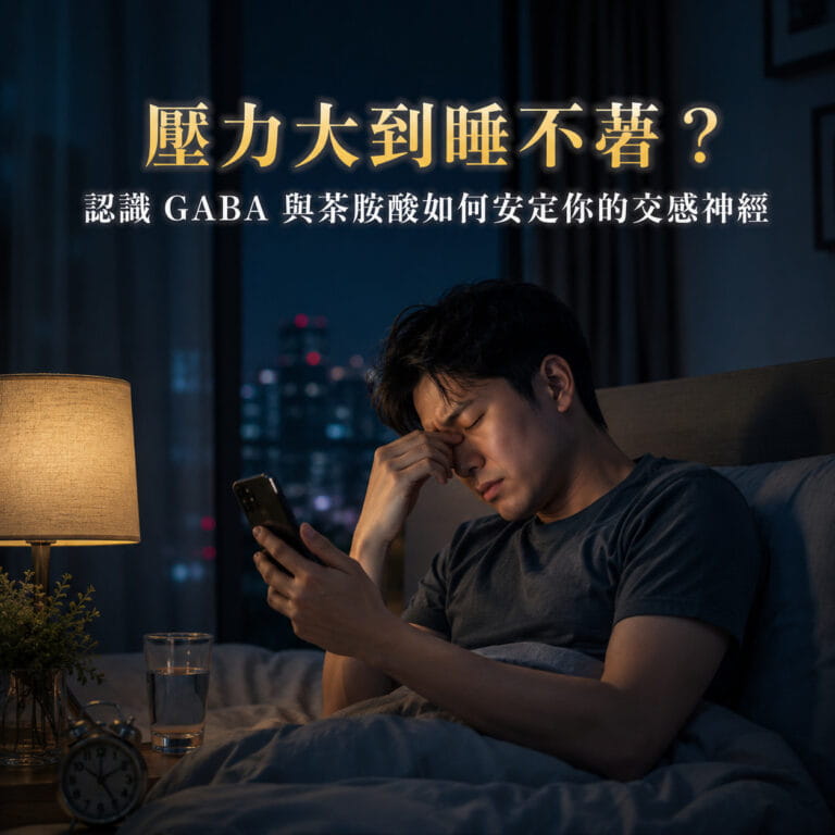 壓力大到睡不著？認識 GABA 與茶胺酸如何安定你的交感神經