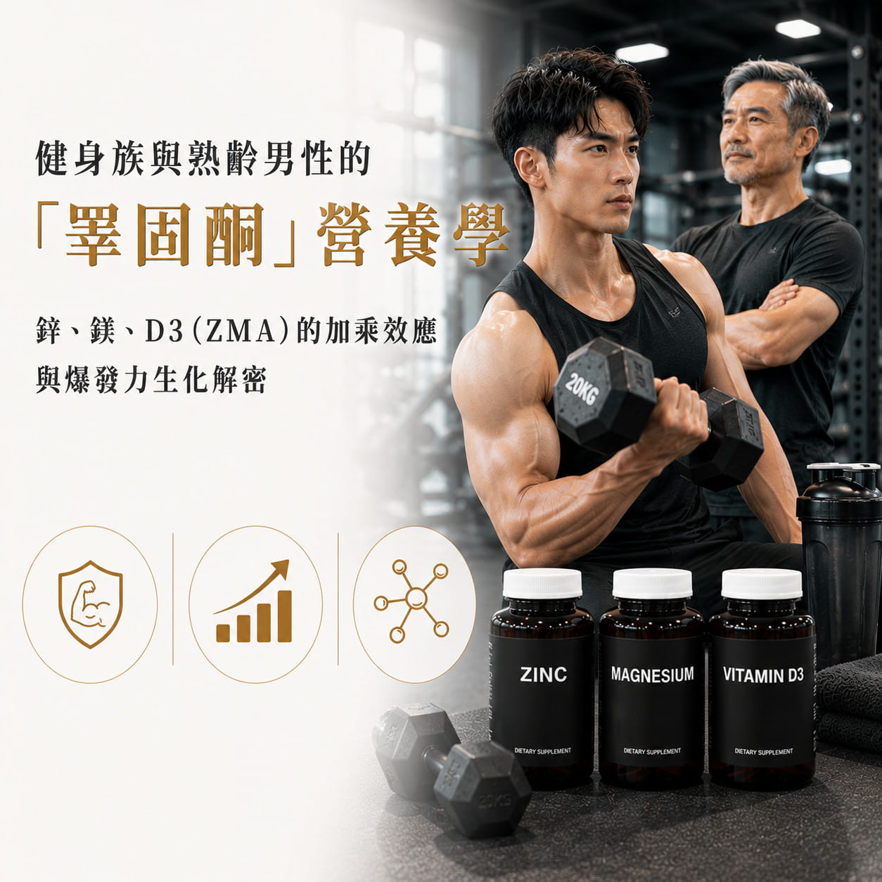 健身族與熟齡男性的「睪固酮」營養學：鋅、鎂、D3（ZMA）的加乘效應與爆發力生化解密